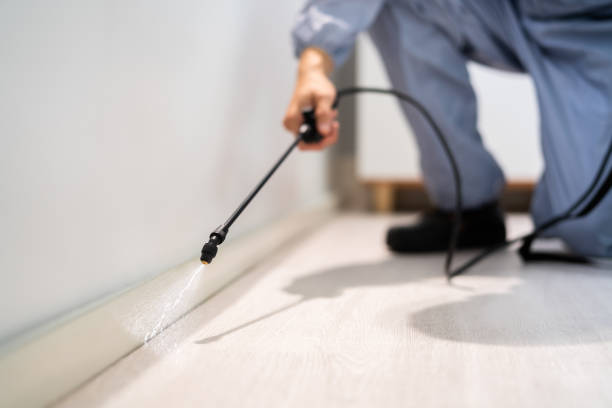 Licensed Pest Control service in Stepney, CT - Show Me Pest Control